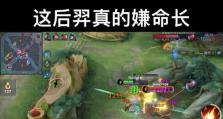 《王者荣耀以后羿符文与出装攻略》（羿神开局必备，攻无不克！）