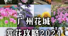 揭秘周子澈攻略的两生花开奥秘（解析周子澈攻略，带你get两生花开的诀窍）