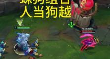 狗熊出装阵容搭配攻略（以狗熊为核心，打造强力阵容，实现全面压制敌方的战略优势）