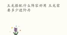 玉龙宝石出装顺序攻略大全（打造最强玉龙宝石出装，从装备顺序开始！）