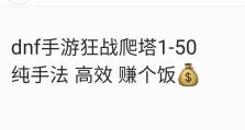 双雷爬塔技能搭配攻略-无敌输出光芒！（提升输出，突破极限，掌握双雷爬塔技能搭配的关键要素）