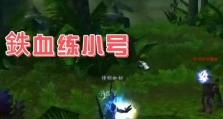从零开始学习萨满攻略技能（掌握关键技能，成为顶尖萨满玩家）