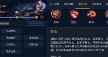阿轲出装布局攻略视频全集（一键掌握阿轲的最佳装备及战术搭配，成为游戏中的无敌刺客！）