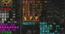 刀剑英雄攻略（掌握关键技能，成为顶尖战士）