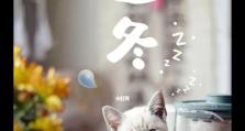 立冬技能搭配攻略（掌握这些技能，让你在立冬时节更加舒适温暖）