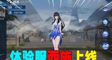 新手西施教学出装攻略（掌握关键装备，让你的西施更上一层楼）