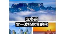 立冬技能搭配攻略大全（应对寒冷的有效方法与技巧）