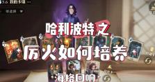 提升游戏技巧，从卡牌出装对比攻略视频中学习（通过卡牌出装对比攻略视频，掌握游戏技巧的关键）