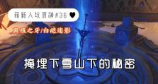 雪山攻略阁（发掘原神雪山中的秘密，解锁隐藏的宝藏）