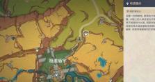 《征服原神挑战——攻略宝典大揭秘》（掌握关键攻略，成为原神顶尖挑战者）