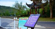 《晴天停车场游戏攻略》（掌握停车技巧，轻松解锁所有关卡）