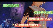 《原神兄妹重逢任务攻略》（发现兄妹关系的任务攻略，帮助你成功完成任务！）