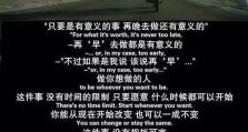 《重返21岁游戏全攻略》（一场时光逆转，青春再现的冒险之旅）